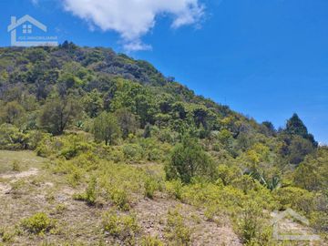 TERRENO CON MUY BONITA VISTA EN MINERAL DEL MONTE PUEBLO MÁGICO.