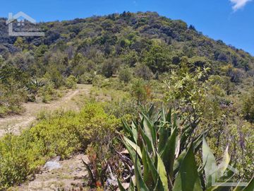 TERRENO CON MUY BONITA VISTA EN MINERAL DEL MONTE PUEBLO MÁGICO.