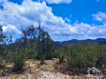 TERRENO CON MUY BONITA VISTA EN MINERAL DEL MONTE PUEBLO MÁGICO.
