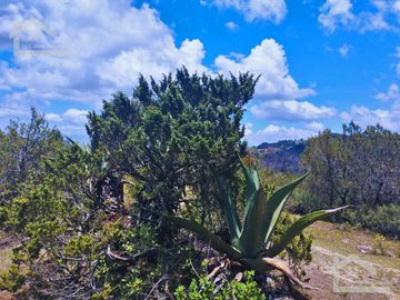 TERRENO CON MUY BONITA VISTA EN MINERAL DEL MONTE PUEBLO MÁGICO.