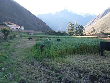 TERRENO EN CUSCO EXCELENTE INVERSIÓN !!