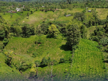 VENDO FINCA IDEAL PARA GANADO VACUNO A 5 MINUTOS DE SAN GABRIEL DEL BABA