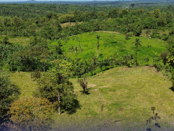 VENDO FINCA IDEAL PARA GANADO VACUNO A 5 MINUTOS DE SAN GABRIEL DEL BABA