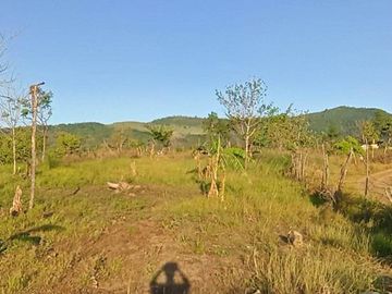 39,246 sqm Lot for Sale  at Dona Remedios, Bulacan