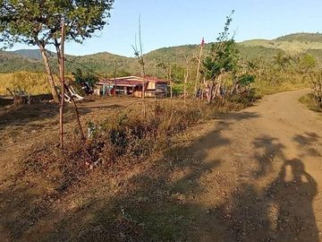 39,246 sqm Lot for Sale  at Dona Remedios, Bulacan