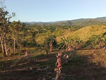 39,246 sqm Lot for Sale  at Dona Remedios, Bulacan