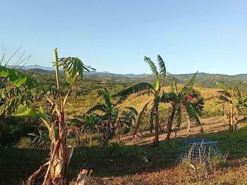 39,246 sqm Lot for Sale  at Dona Remedios, Bulacan