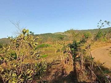 39,246 sqm Lot for Sale  at Dona Remedios, Bulacan