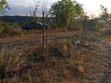39,246 sqm Lot for Sale  at Dona Remedios, Bulacan