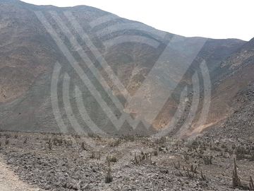 SE VENDE TERRENO DE 200 HA PARA CANTERA A BUEN PRECIO
