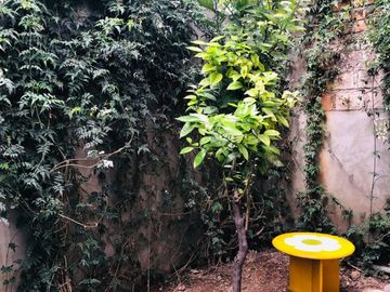 CASA AMOBLADA EN ALQUILER BIEN UBICADA EN CAJAMARCA