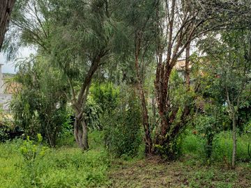 Vendo propiedad amplia con locales comerciales, áreas verdes y casa en Tucuso - Machachi