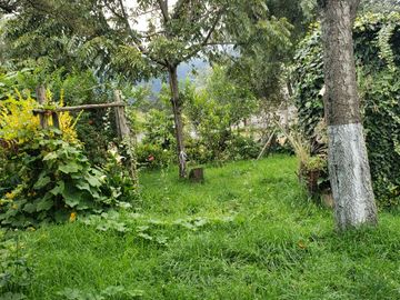 Vendo propiedad amplia con locales comerciales, áreas verdes y casa en Tucuso - Machachi
