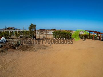 Parcela con 2 casas, piscina y locales comerciales, orilla de carretera, La Serena. $215millones
