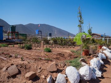 Parcela con 2 casas, piscina y locales comerciales, orilla de carretera, La Serena. $215millones