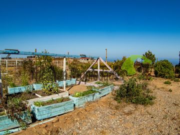 Parcela con 2 casas, piscina y locales comerciales, orilla de carretera, La Serena. $215millones