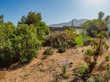 Parcela con 2 casas, piscina y locales comerciales, orilla de carretera, La Serena. $215millones