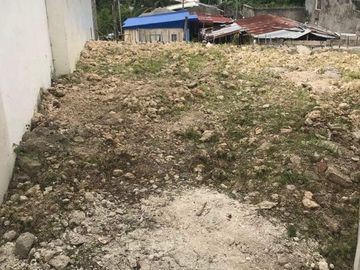 Brandnew House For Sale 4BR Crescent Ville Minglanilla Cebu