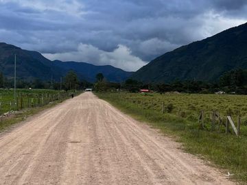 Vendo terreno en Oxapampa