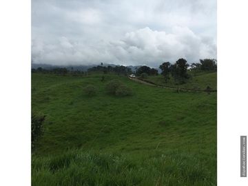 EN VENTA DOS HERMOSAS HACIENDAS EN LA ZONA DE LOS BANCOS, se venden juntas o por separado