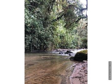 EN VENTA DOS HERMOSAS HACIENDAS EN LA ZONA DE LOS BANCOS, se venden juntas o por separado
