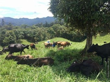EN VENTA DOS HERMOSAS HACIENDAS EN LA ZONA DE LOS BANCOS, se venden juntas o por separado