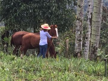 EN VENTA DOS HERMOSAS HACIENDAS EN LA ZONA DE LOS BANCOS, se venden juntas o por separado