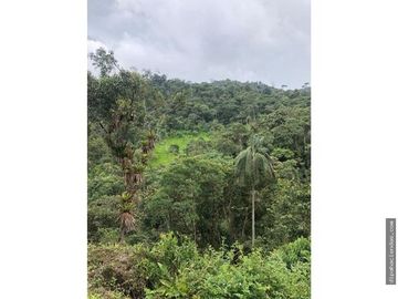 EN VENTA DOS HERMOSAS HACIENDAS EN LA ZONA DE LOS BANCOS, se venden juntas o por separado