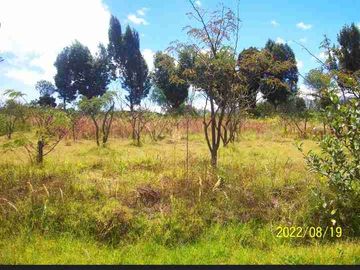 Terreno de venta en Puembo - Pifo, Ecuador