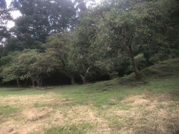 VENTA FINCA IBAGUE CAÑON COMBEIMA