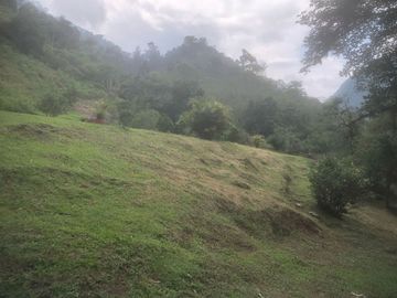VENTA FINCA IBAGUE CAÑON COMBEIMA