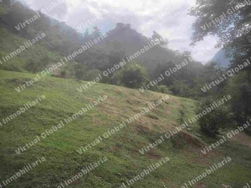 IBAGUE VILLA RESTREPO 30 HECTAREAS