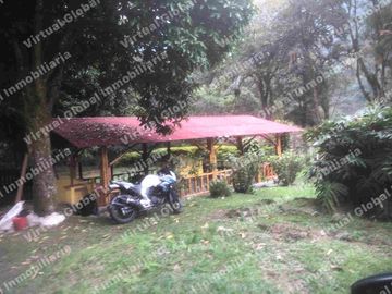 IBAGUE VILLA RESTREPO 30 HECTAREAS