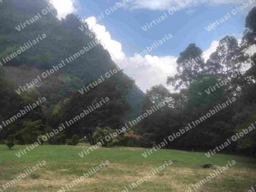 IBAGUE VILLA RESTREPO 30 HECTAREAS