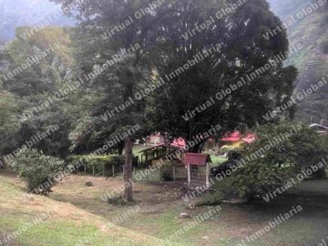 IBAGUE VILLA RESTREPO 30 HECTAREAS