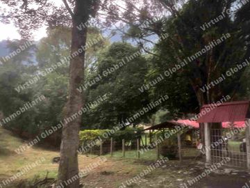 IBAGUE VILLA RESTREPO 30 HECTAREAS