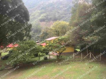 IBAGUE VILLA RESTREPO 30 HECTAREAS
