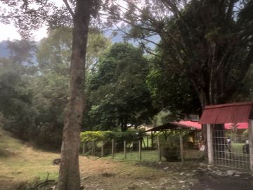 VENTA FINCA IBAGUE CAÑON COMBEIMA