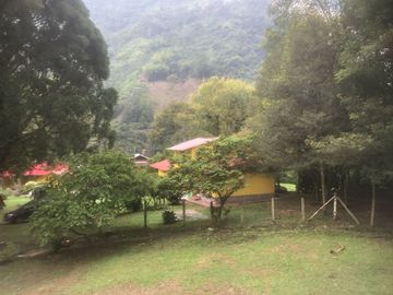 VENTA FINCA IBAGUE CAÑON COMBEIMA