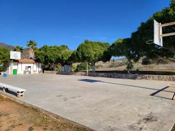 RANCHO / HACIENDA 16.32 HECTAREAS EN VALLE DE GUADALUPE