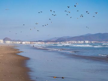 Venta de sitio urbano de 540 m2 en Avenida principal de Caleta San Pedro, La Serena. $150 millones