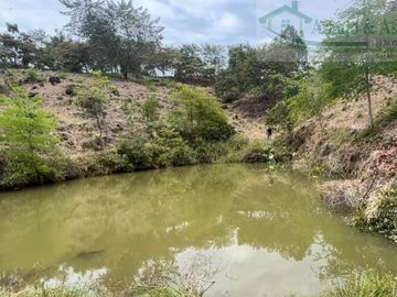 VENDEMOS FINCA GANADERA CON NACEDEROS DE AGUA Y CLIMA AGRADABLE.