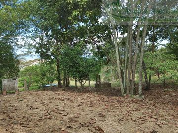 VENDEMOS FINCA GANADERA CON NACEDEROS DE AGUA Y CLIMA AGRADABLE.