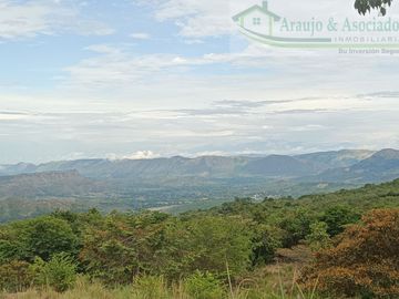 VENDEMOS FINCA GANADERA CON NACEDEROS DE AGUA Y CLIMA AGRADABLE.