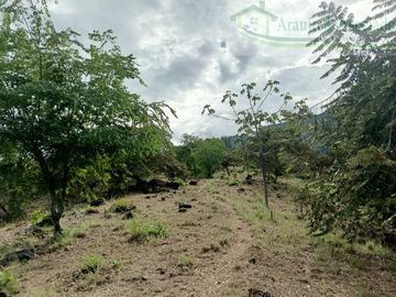 VENDEMOS FINCA GANADERA CON NACEDEROS DE AGUA Y CLIMA AGRADABLE.