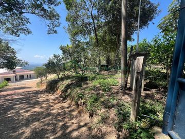 VENDEMOS FINCA GANADERA CON NACEDEROS DE AGUA Y CLIMA AGRADABLE.