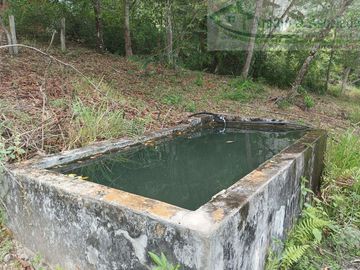 VENDEMOS FINCA GANADERA CON NACEDEROS DE AGUA Y CLIMA AGRADABLE.