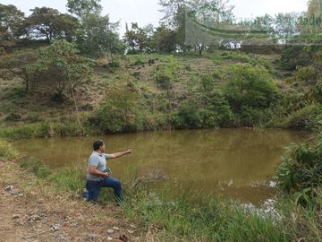 VENDEMOS FINCA GANADERA CON NACEDEROS DE AGUA Y CLIMA AGRADABLE.