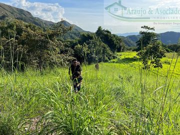 VENDEMOS FINCA GANADERA CON NACEDEROS DE AGUA Y CLIMA AGRADABLE.
