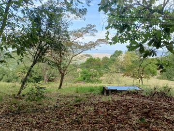VENDEMOS FINCA GANADERA CON NACEDEROS DE AGUA Y CLIMA AGRADABLE.